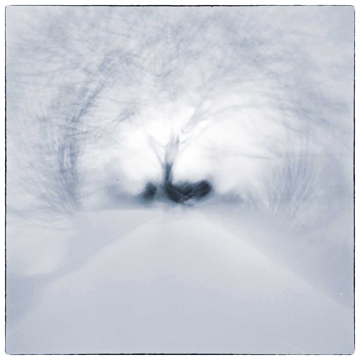 Abstract winter landscape created through rotational camera movement, with blurred trees radiating around a dark central form.