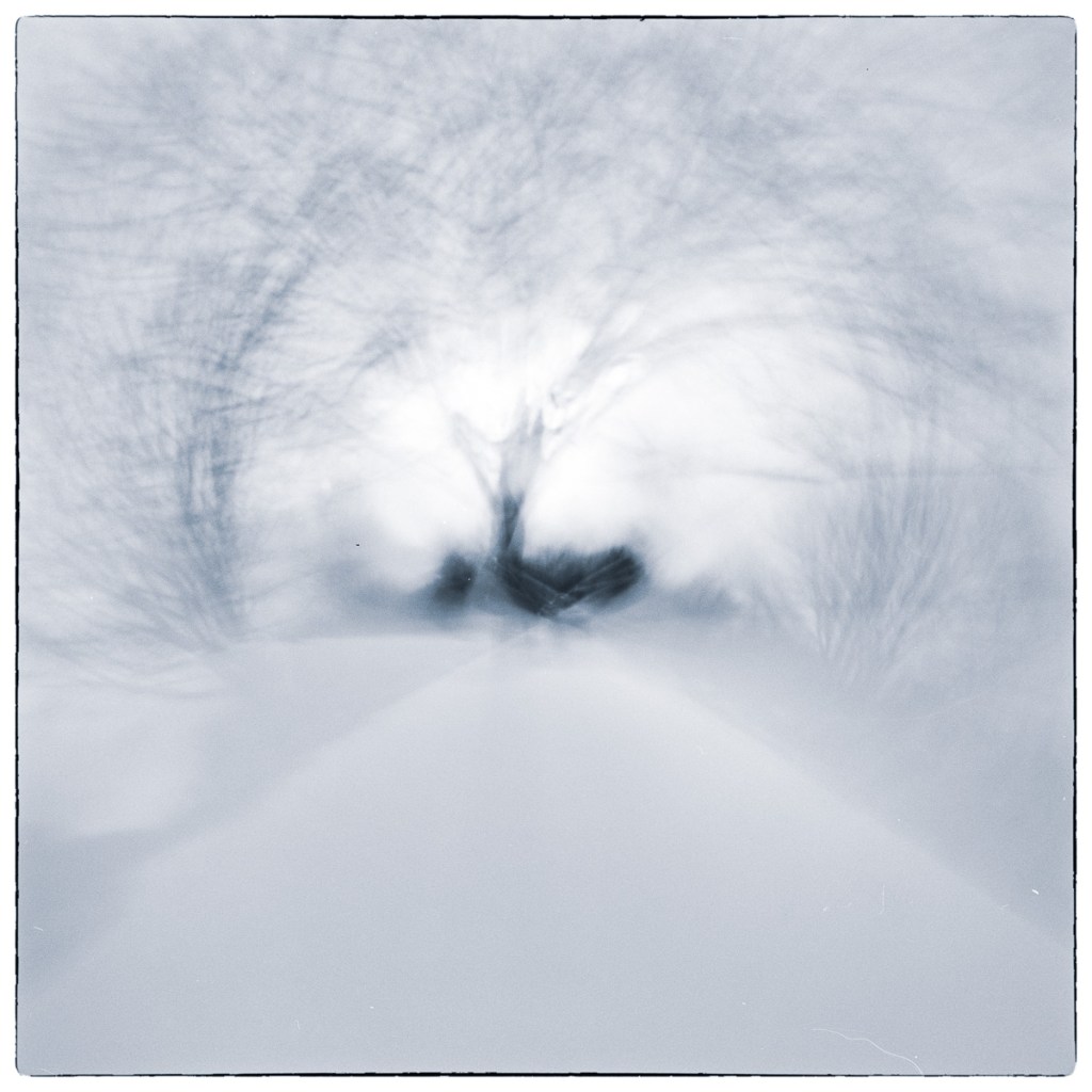 Abstract winter landscape created through rotational camera movement, with blurred trees radiating around a dark central form.