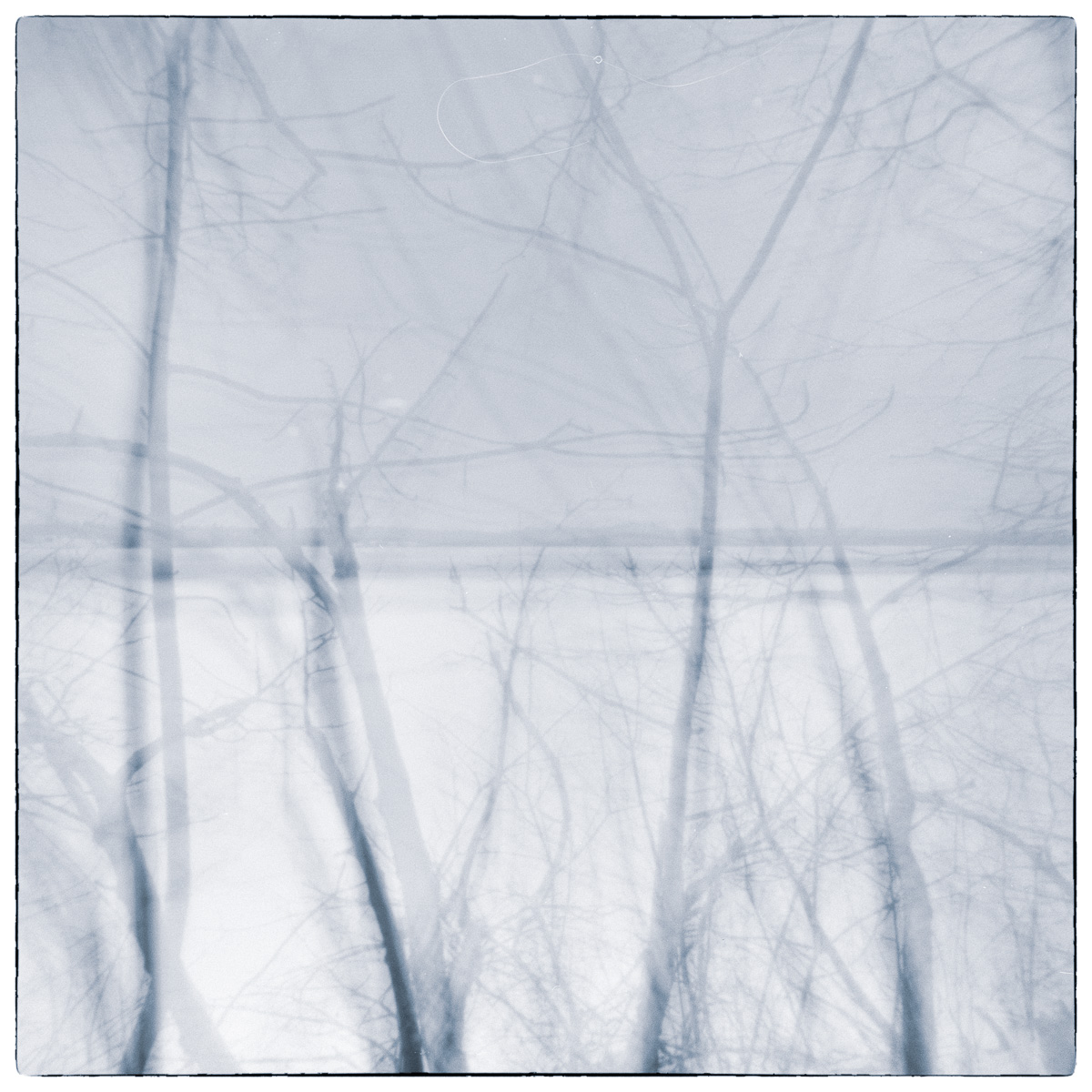 Blurred winter trees layered over frozen water in an abstract monochrome landscape.