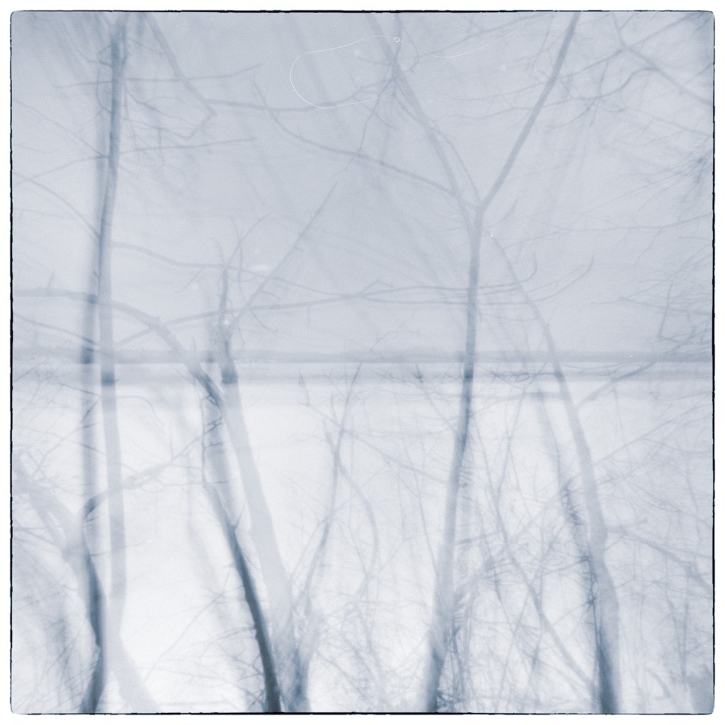 Blurred winter trees layered over frozen water in an abstract monochrome landscape.