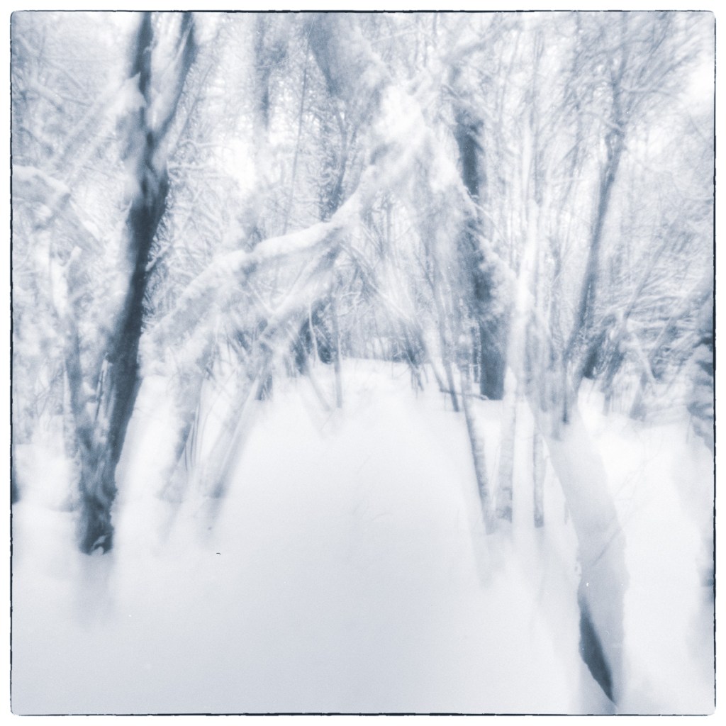 Intentional camera movement photograph of snow-covered trees at Kingston Mills Locks, with vertical blurring and streaking created through upward camera movement during exposure.