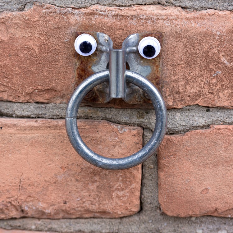 I Spy Little Eyes: Brick Wall Ring