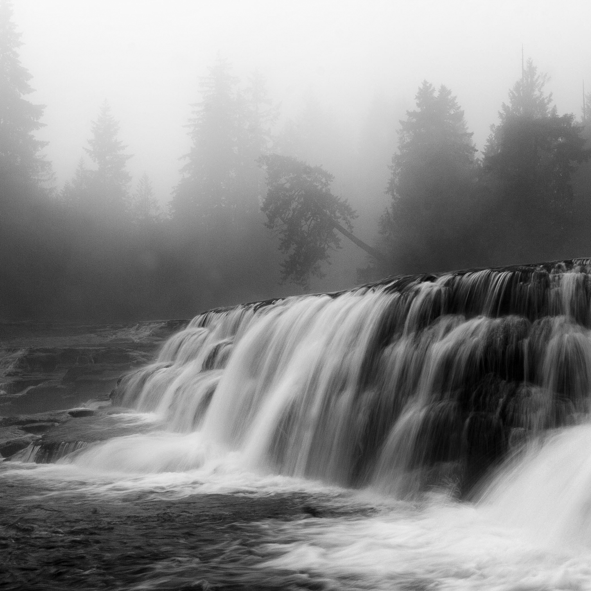 Black-and-white long exposure of Stotan Falls on Vancouver Island, with misty water cascading over dark rock beneath fog-softened trees.