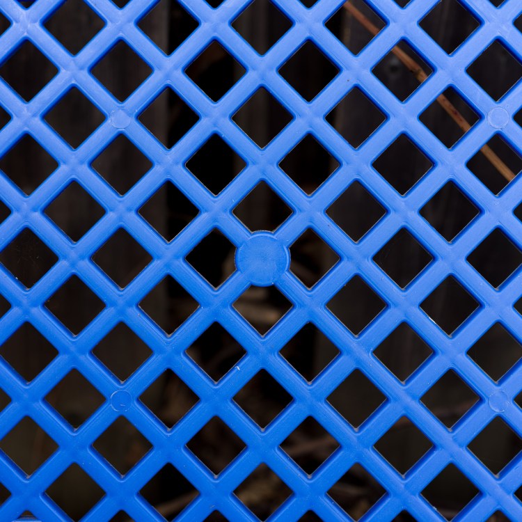 Blue in Wesport