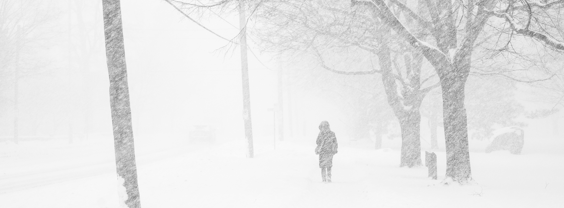 Black-and-white photograph of a lone pedestrian walking through heavy snow in City Park, Kingston, Ontario.